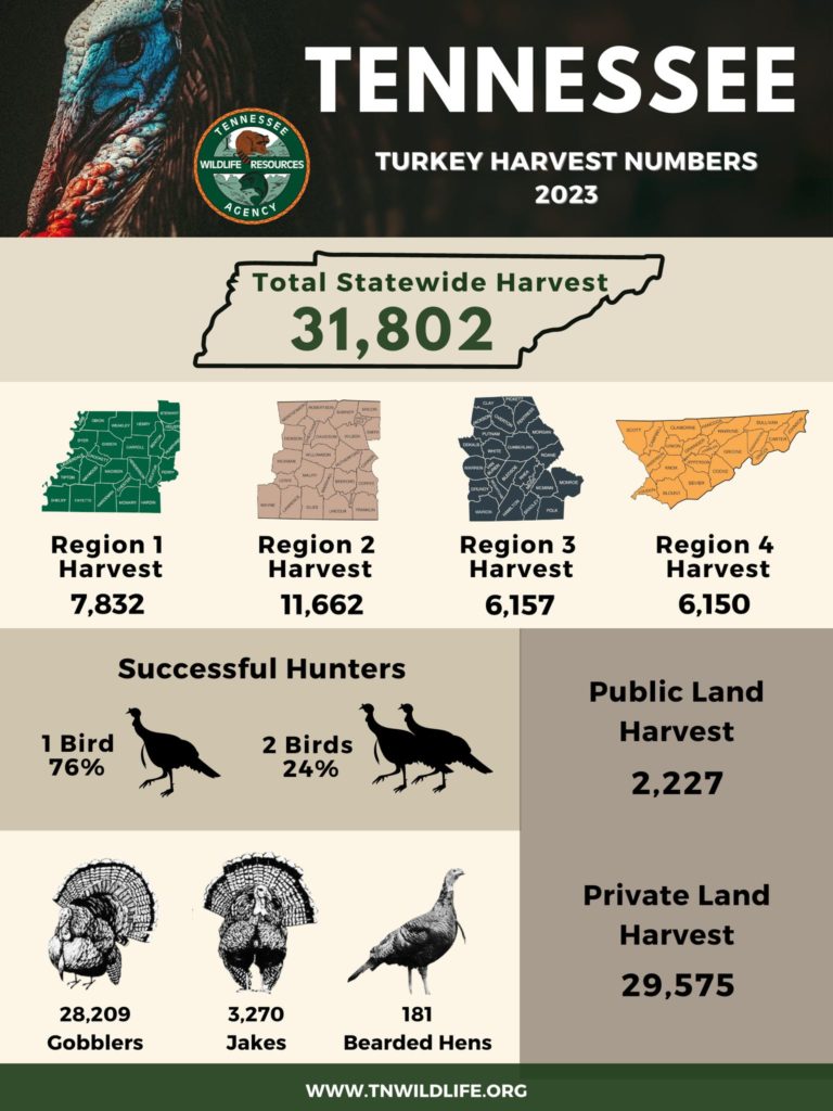 Cool infographic of Tennessee's 2023 turkey season harvest.