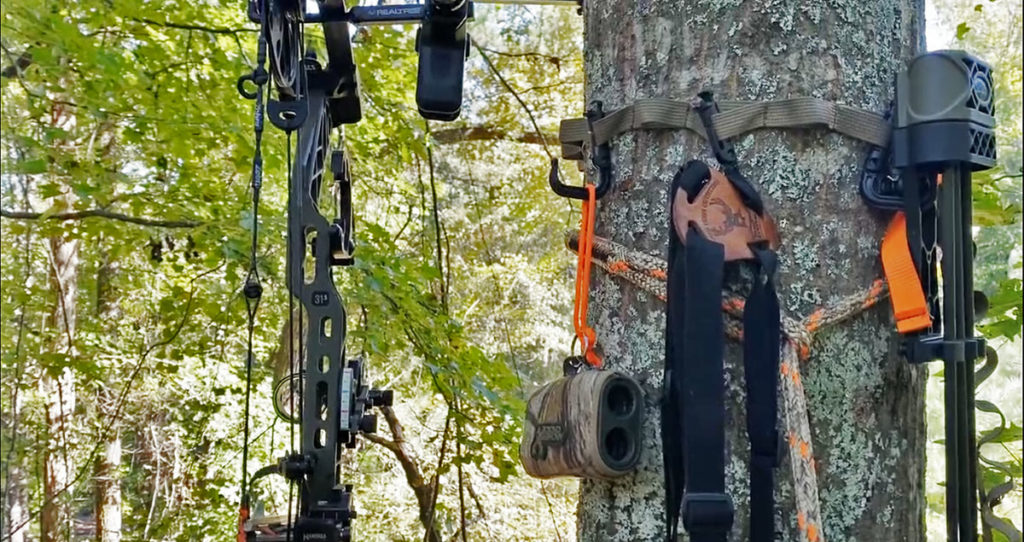Photo of the author's saddle hunting accessories in the tree.
