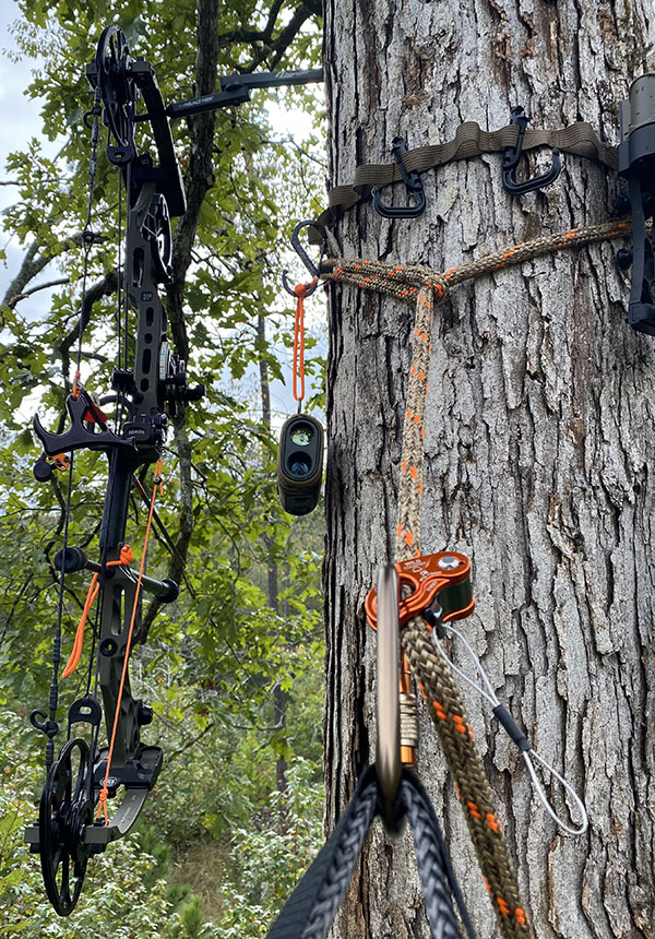 The author's saddle hunting setup in the tree.