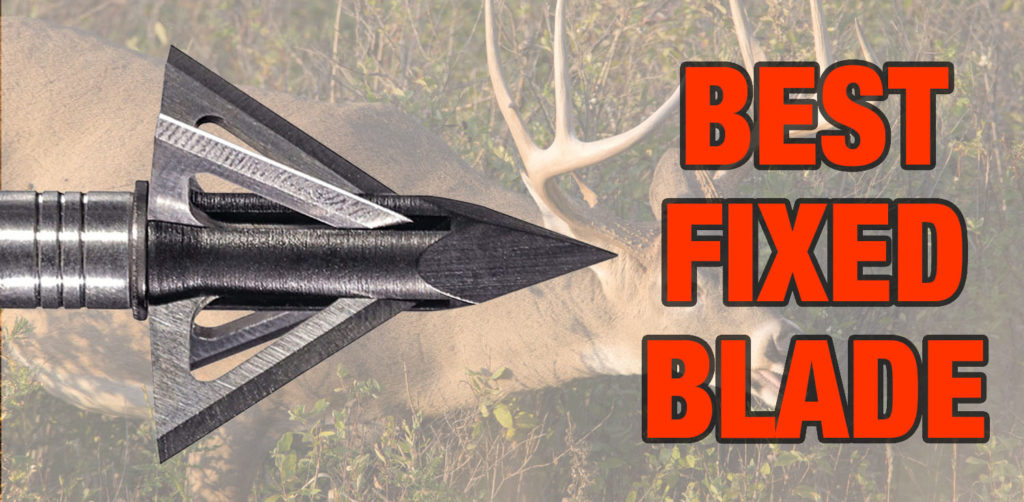 A fixed blade broadhead in front of a large buck.